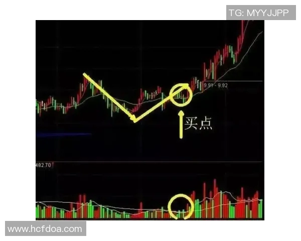杭州攀岩队快攻战术深度解析与实战应用探讨